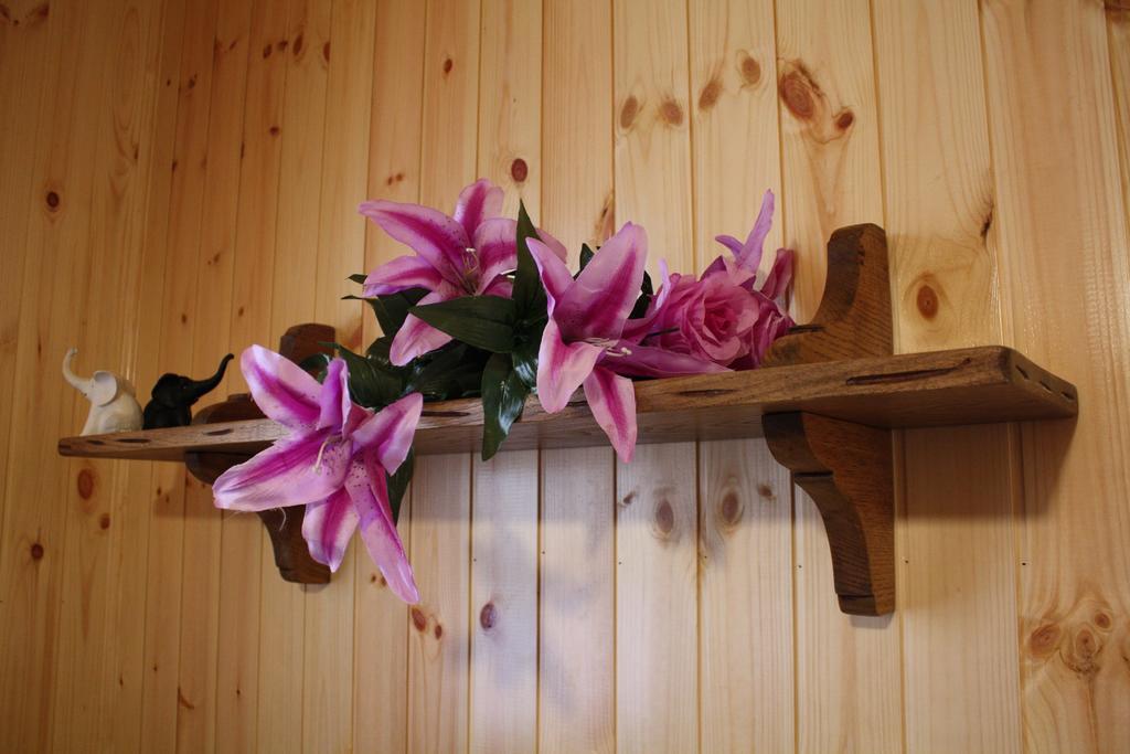 Vagli di Sotto Home In Garfagnana מראה חיצוני תמונה